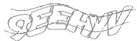 Check code