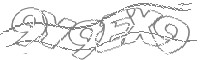 Check code