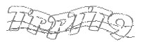 Check code