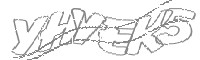 Check code