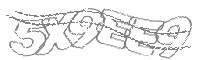Check code