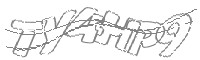Check code