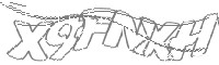 Check code