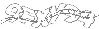 Check code