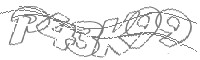 Check code