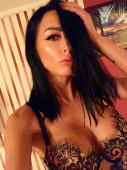 Escort in Dubai - Nicolle